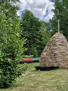 Yoga & Kahn im Juni 2026 im Waldhotel Eiche